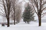 Cemetery Snowfall_04806